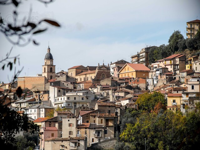 foto di Pedace Pedace