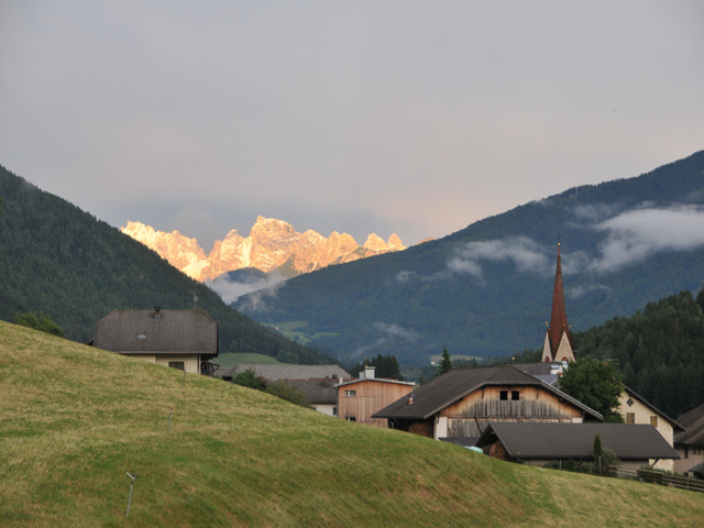 foto di Perca Perca