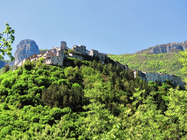 foto di Petina Petina