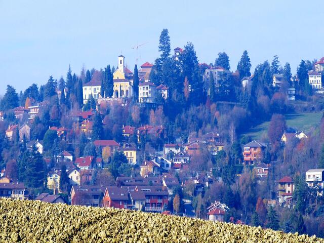 foto di Pino Torinese Pino Torinese