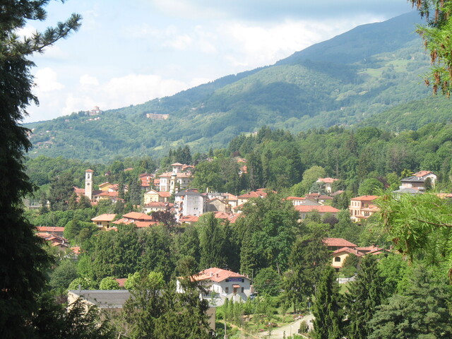 foto di Pollone Pollone
