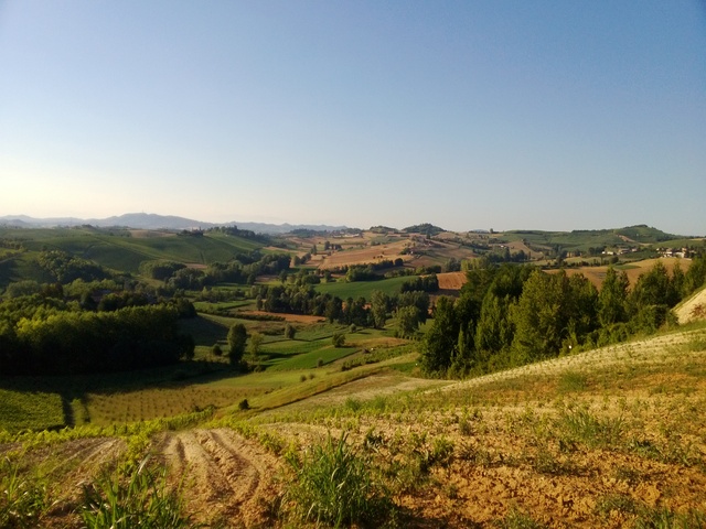 foto di Portacomaro Portacomaro