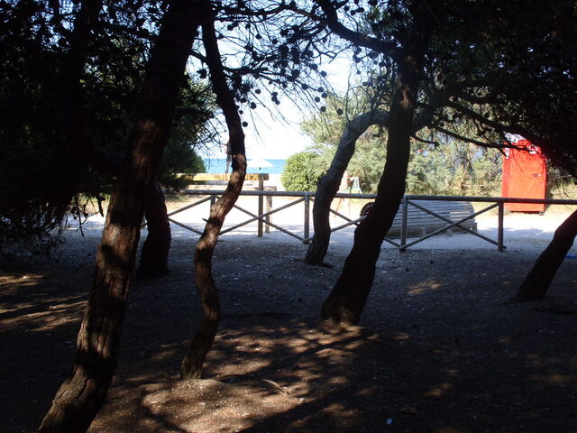 foto di Porto Sant'Elpidio Porto Sant'Elpidio