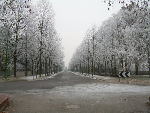 foto di Portomaggiore Portomaggiore