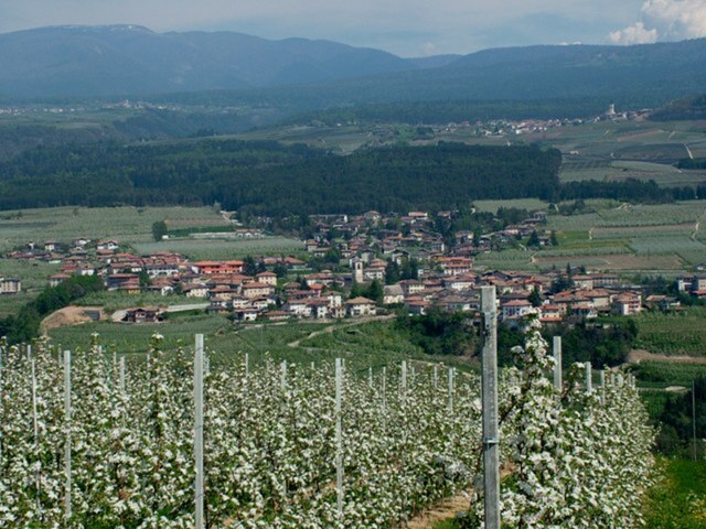 foto di Predaia Predaia