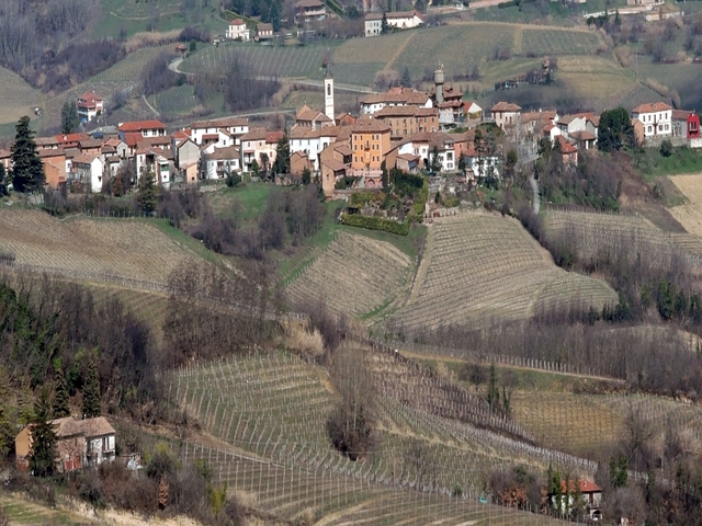 foto di Quaranti Quaranti