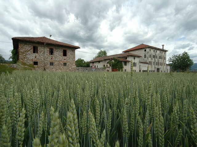 foto di Reana del Rojale Reana del Rojale