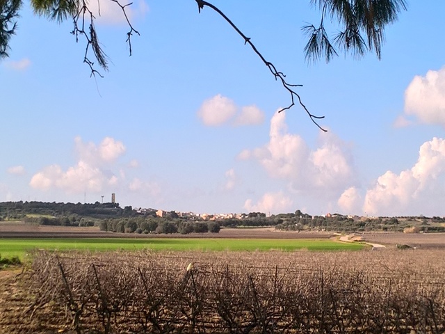 foto di Roccaforzata Roccaforzata