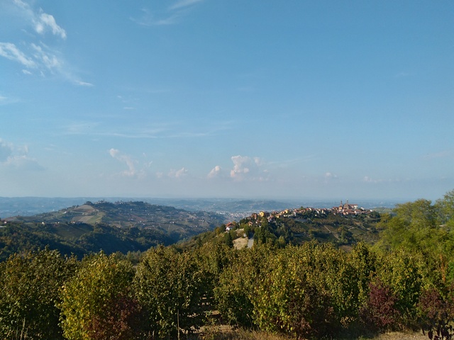 foto di Rodello Rodello