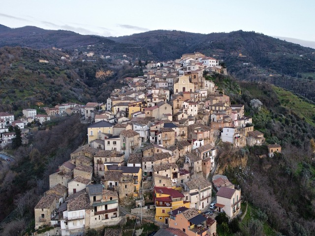 foto di Rose Rose