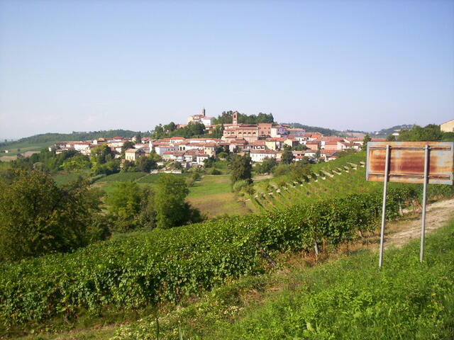 foto di Sala Monferrato Sala Monferrato