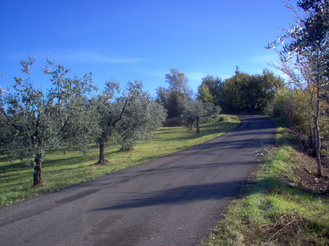 foto di Salisano Salisano
