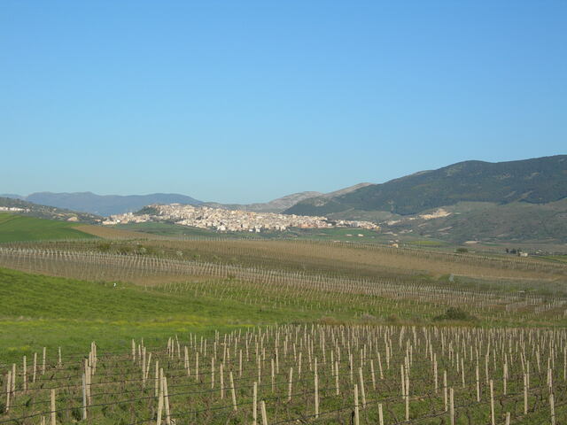 foto di Sambuca di Sicilia Sambuca di Sicilia