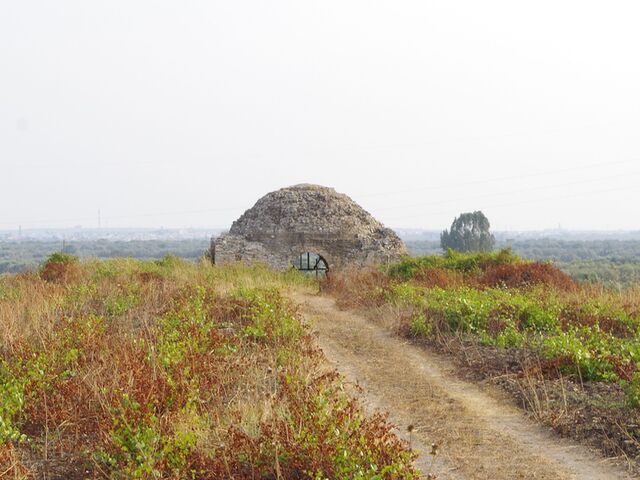 foto di San Donaci San Donaci