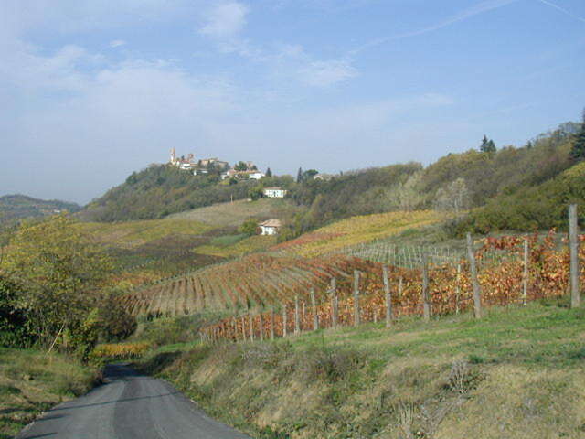foto di San Marzano Oliveto San Marzano Oliveto