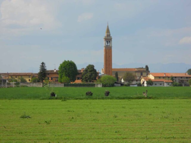 foto di Santa Maria la Longa Santa Maria la Longa