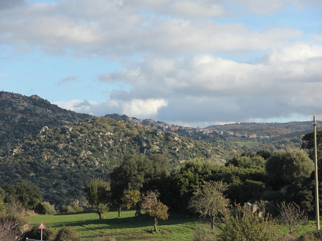 foto di Sarule Sarule