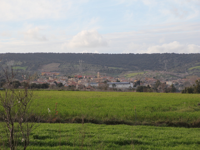 foto di Siddi Siddi