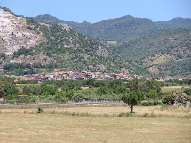foto di Silanus Silanus