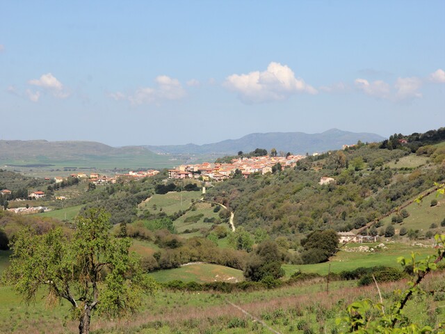 foto di Siligo Siligo