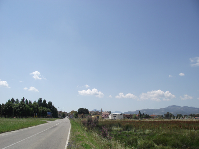 foto di Siliqua Siliqua