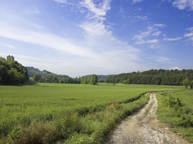 foto di Sommacampagna Sommacampagna