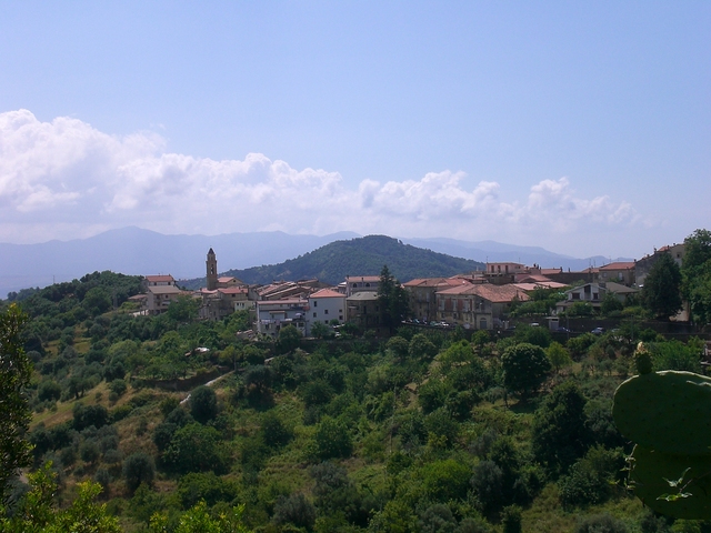 foto di Stella Cilento Stella Cilento