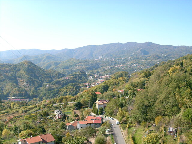 foto di Stella Stella