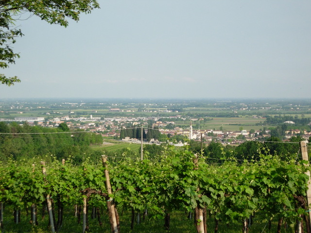 foto di Susegana Susegana