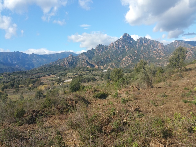 foto di Talana Talana