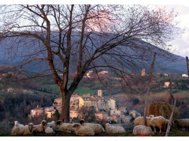 foto di Tarano Tarano
