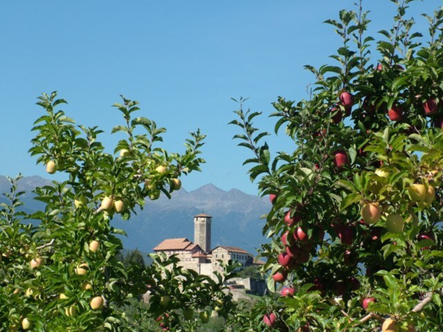 foto di Tassullo Tassullo
