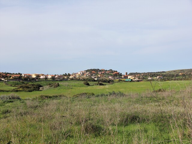 foto di Tergu Tergu