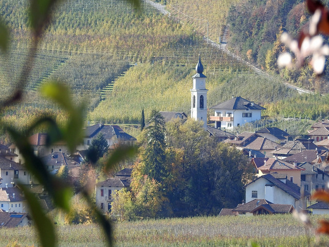 foto di Terres Terres