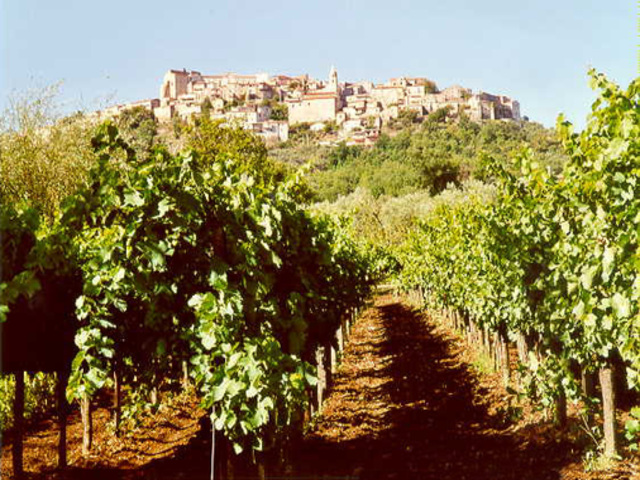 foto di Torrecuso Torrecuso