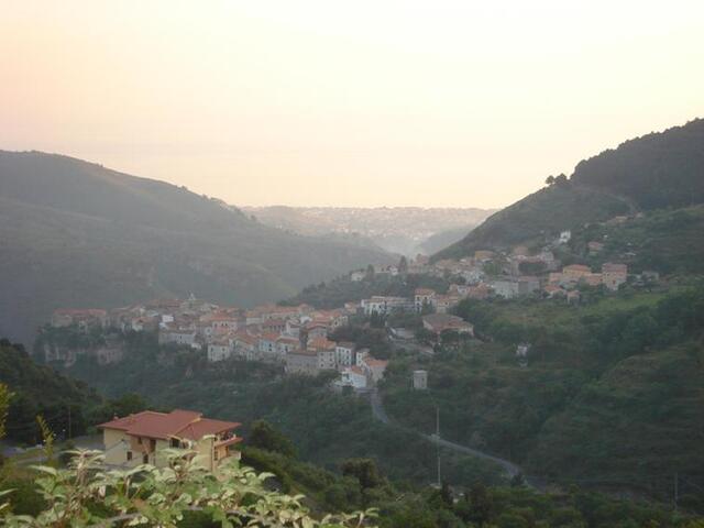 foto di Tortora Tortora