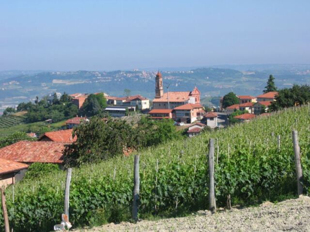 foto di Treiso Treiso