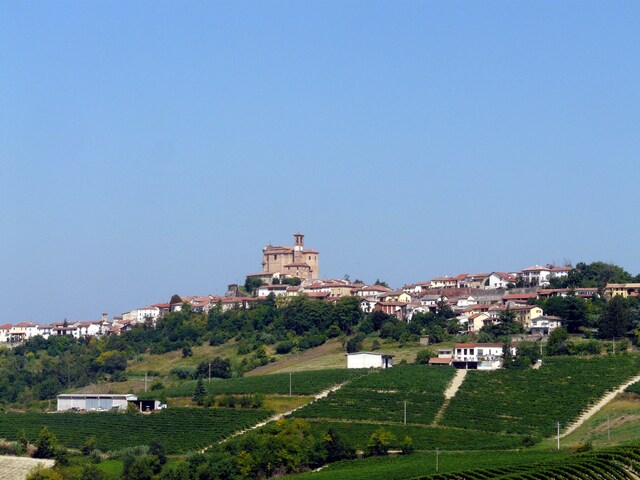 foto di Treville Treville