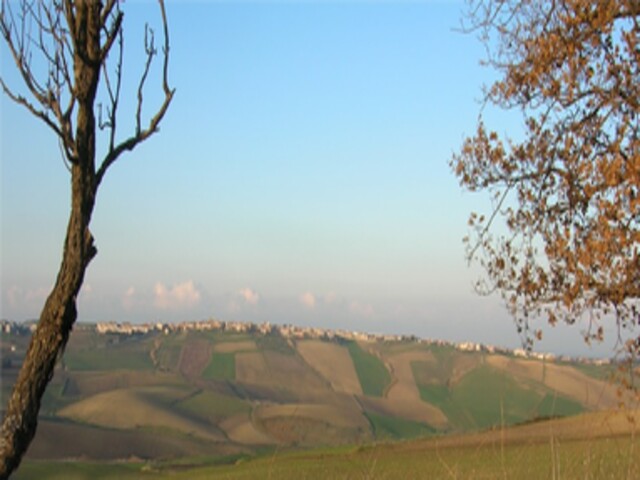 foto di Ururi Ururi