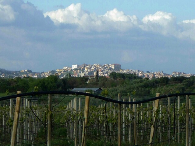 foto di Velletri Velletri