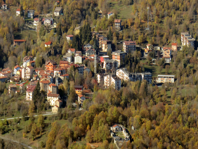 foto di Viola Viola