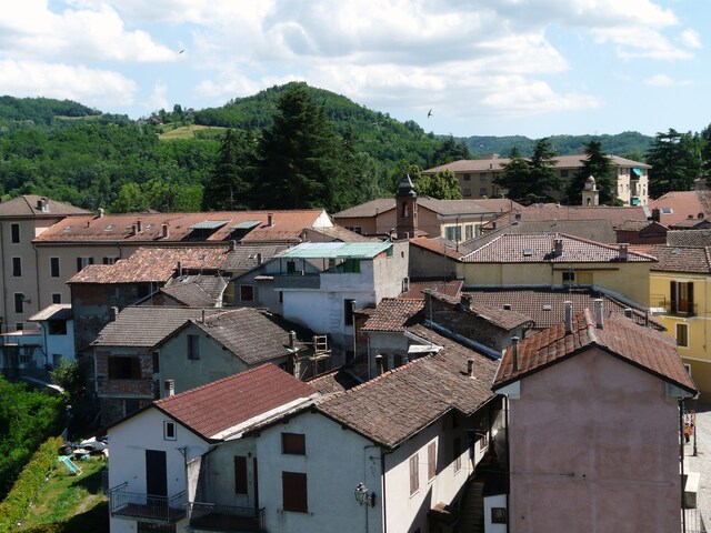 foto di Visone Visone