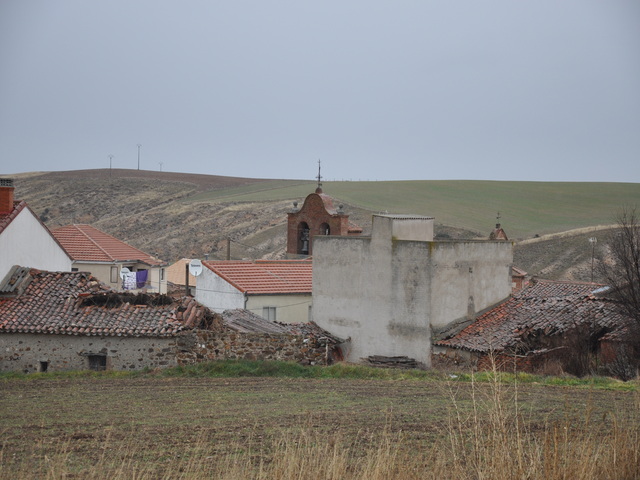 foto di Vita Vita