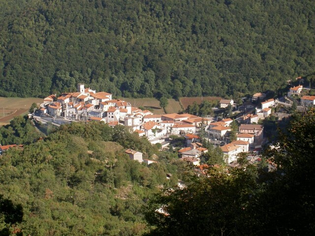 foto di Viticuso Viticuso