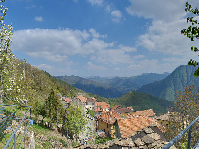 foto di Zerba Zerba