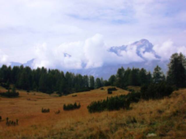 foto di Zoldo Alto Zoldo Alto